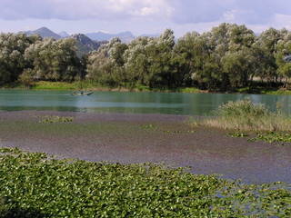 Černá Hora - Skadarské Jeyero
