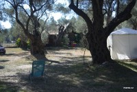 /album/fotogalerie-utjeha-olivova-zahrada/dsc-0254-jpg/