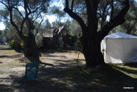 /album/fotogalerie-utjeha-olivova-zahrada/dsc-0255-jpg/