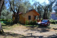 /album/fotogalerie-utjeha-olivova-zahrada/dsc-0256-jpg/