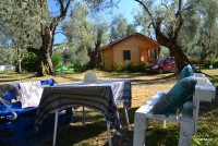 /album/fotogalerie-utjeha-olivova-zahrada/dsc-0260-jpg/