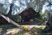 /album/fotogalerie-utjeha-olivova-zahrada/dsc-0261-jpg/