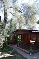 /album/fotogalerie-utjeha-olivova-zahrada/dsc-0266-jpg/