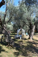 /album/fotogalerie-utjeha-olivova-zahrada/dsc-0267-jpg/