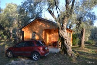 /album/fotogalerie-utjeha-olivova-zahrada/dsc-0280-jpg/